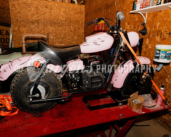 Mini Bikes (13)