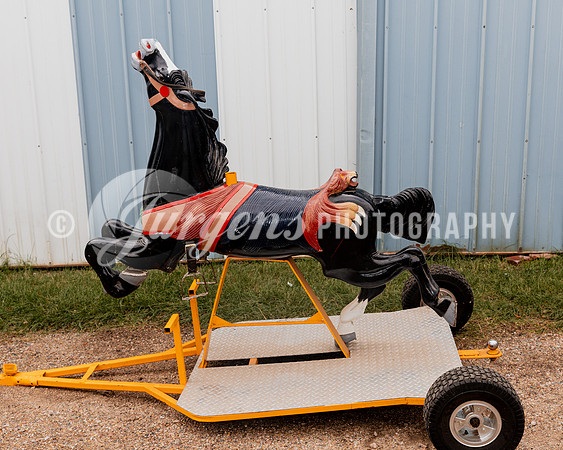 Horse 4 (1)