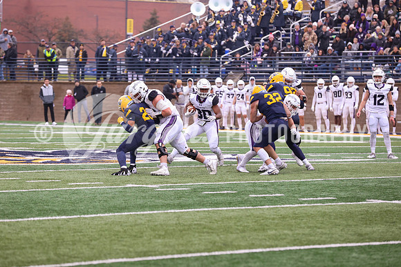 1DX22279