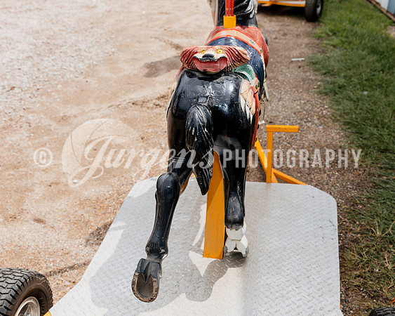 Horse 4 (7)