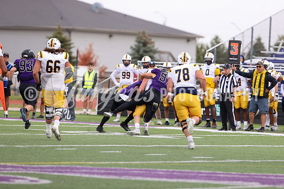 1DX10111