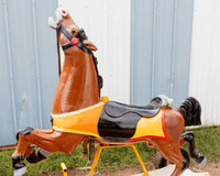 Horse 1 (13)