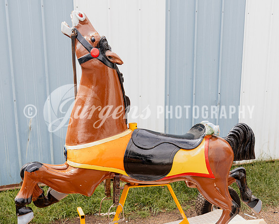Horse 1 (13)